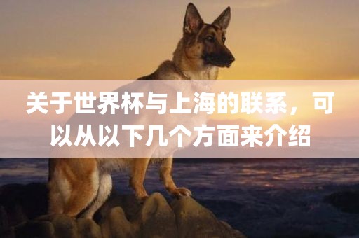 关于世界杯与上海的联系，可以从以下几个方面来介绍