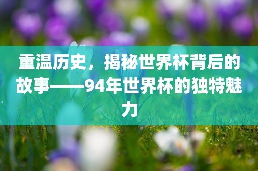 重温历史，揭秘世界杯背后的故事——94年世界杯的独特魅力
