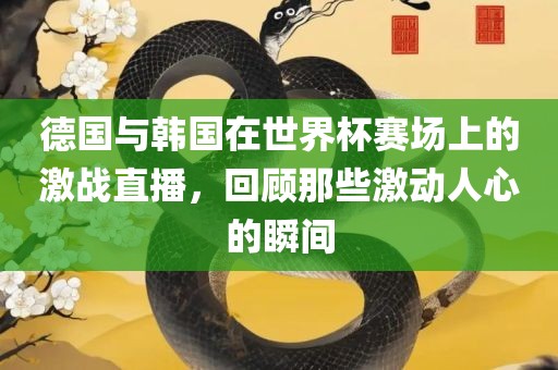 德国与韩国在世界杯赛场上的激战直播，回顾那些激动人心的瞬间