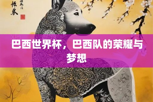 巴西世界杯，巴西队的荣耀与梦想
