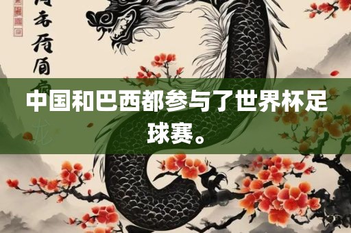 中国和巴西都参与了世界杯足球赛。