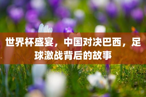 世界杯盛宴，中国对决巴西，足球激战背后的故事