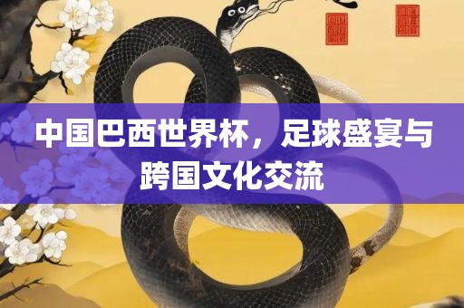 中国巴西世界杯，足球盛宴与跨国文化交流