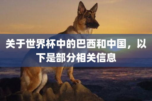 关于世界杯中的巴西和中国，以下是部分相关信息