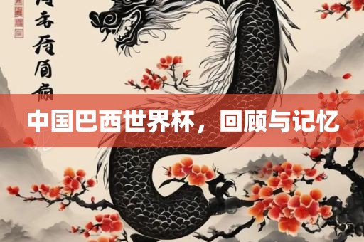 中国巴西世界杯，回顾与记忆