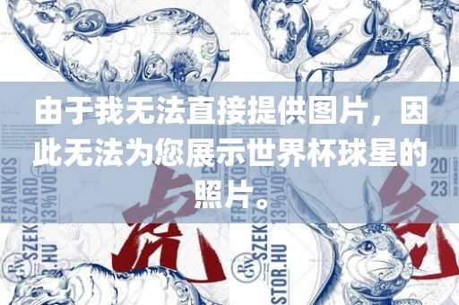 由于我无法直接提供图片，因此无法为您展示世界杯球星的照片。
