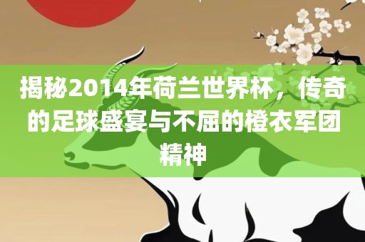 揭秘2014年荷兰世界杯，传奇的足球盛宴与不屈的橙衣军团精神