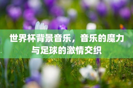 世界杯背景音乐，音乐的魔力与足球的激情交织
