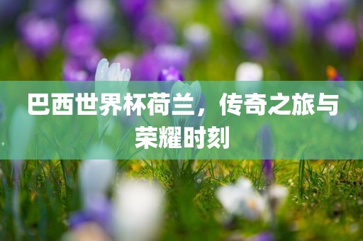 巴西世界杯荷兰，传奇之旅与荣耀时刻