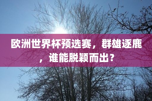 欧洲世界杯预选赛，群雄逐鹿，谁能脱颖而出？