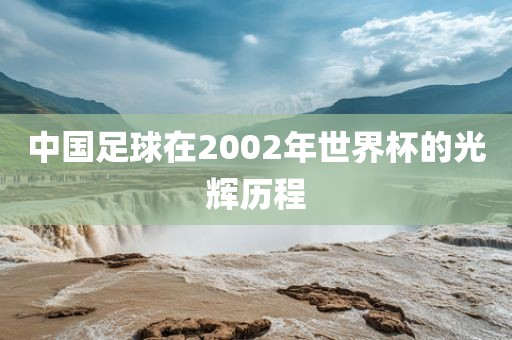 中国足球在2002年世界杯的光辉历程