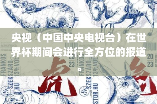 央视（中国中央电视台）在世界杯期间会进行全方位的报道。