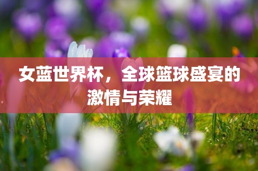 女蓝世界杯，全球篮球盛宴的激情与荣耀
