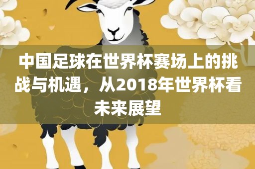 中国足球在世界杯赛场上的挑战与机遇，从2018年世界杯看未来展望