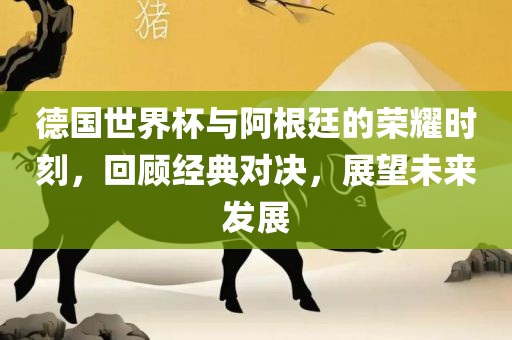 德国世界杯与阿根廷的荣耀时刻，回顾经典对决，展望未来发展