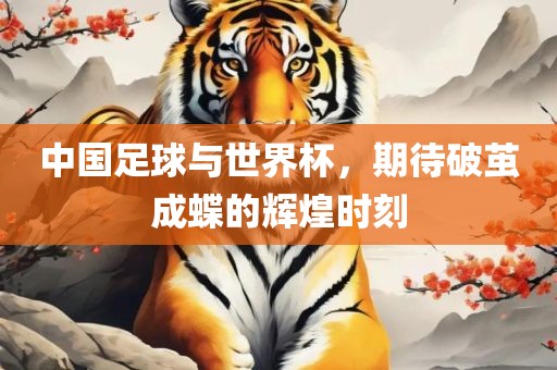 中国足球与世界杯，期待破茧成蝶的辉煌时刻