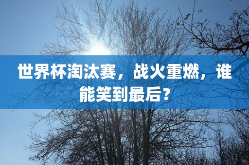 世界杯淘汰赛，战火重燃，谁能笑到最后？