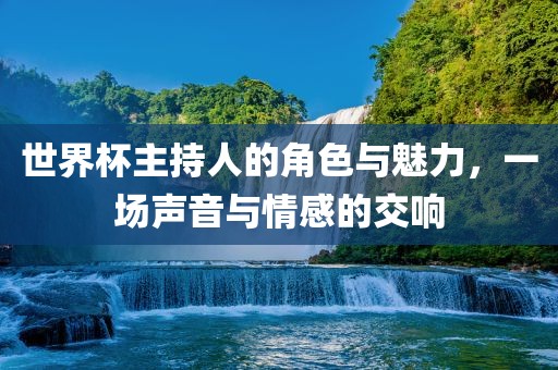 世界杯主持人的角色与魅力，一场声音与情感的交响
