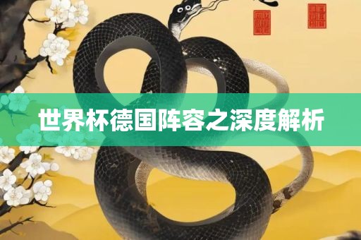 世界杯德国阵容之深度解析