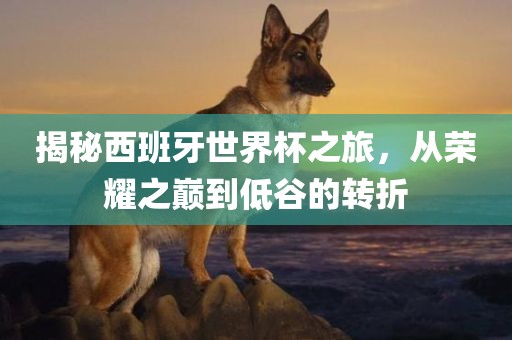 揭秘西班牙世界杯之旅，从荣耀之巅到低谷的转折