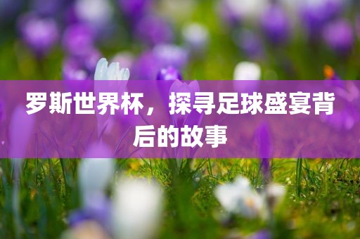 罗斯世界杯，探寻足球盛宴背后的故事