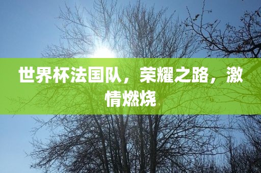 世界杯法国队，荣耀之路，激情燃烧