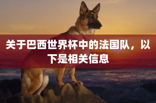 关于巴西世界杯中的法国队，以下是相关信息