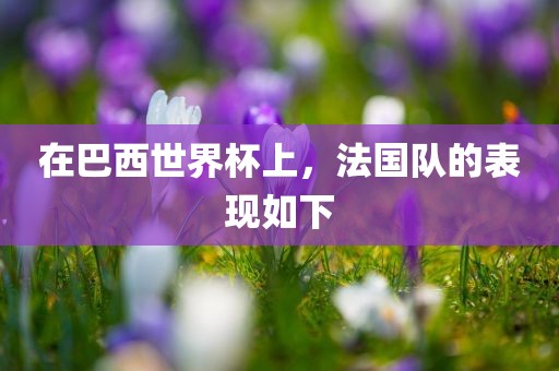 在巴西世界杯上，法国队的表现如下