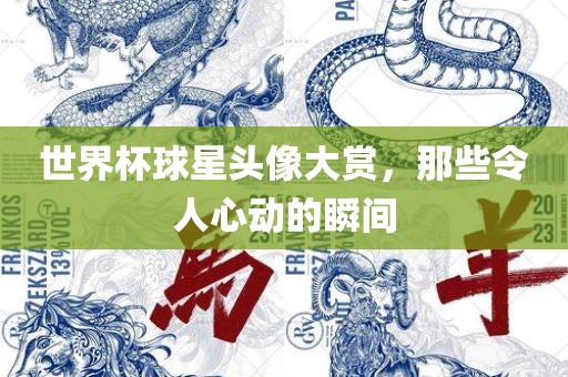 世界杯球星头像大赏，那些令人心动的瞬间