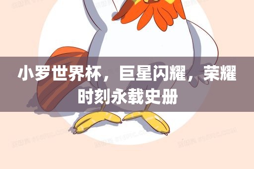 小罗世界杯，巨星闪耀，荣耀时刻永载史册