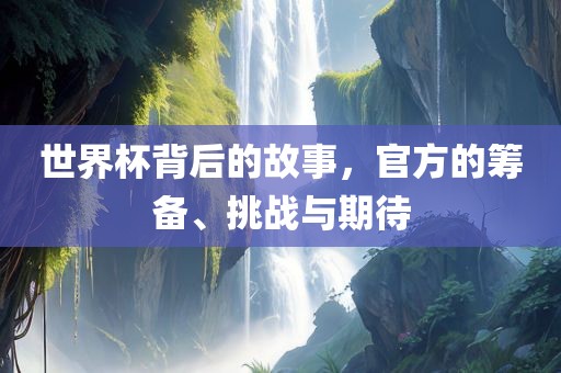 世界杯背后的故事，官方的筹备、挑战与期待