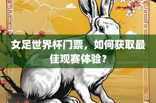 女足世界杯门票，如何获取最佳观赛体验？