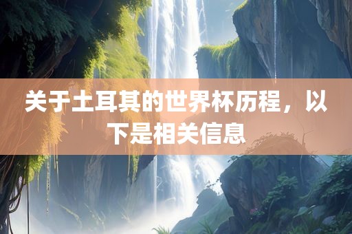 关于土耳其的世界杯历程，以下是相关信息