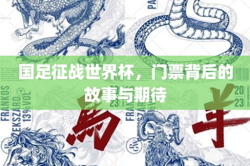 国足征战世界杯，门票背后的故事与期待