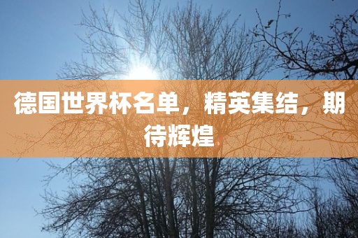 德国世界杯名单，精英集结，期待辉煌