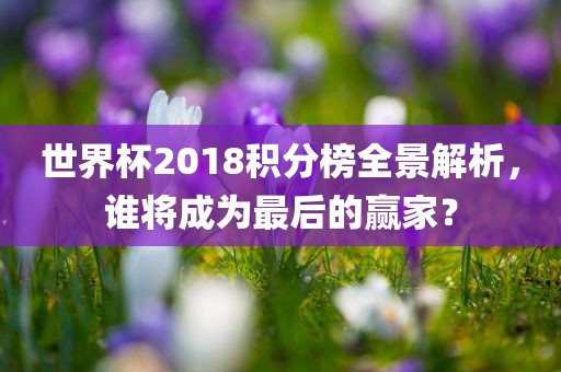 世界杯2018积分榜全景解析，谁将成为最后的赢家？
