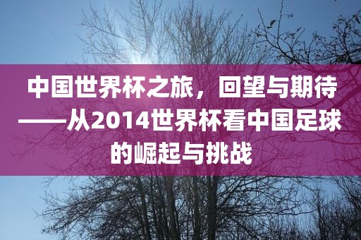 中国世界杯之旅，回望与期待——从2014世界杯看中国足球的崛起与挑战