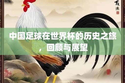 中国足球在世界杯的历史之旅，回顾与展望