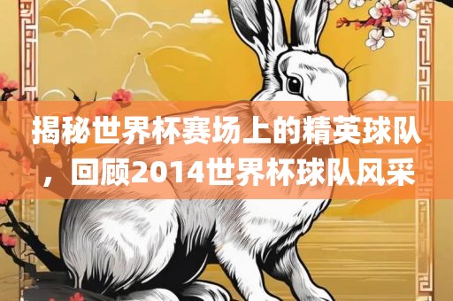 揭秘世界杯赛场上的精英球队，回顾2014世界杯球队风采