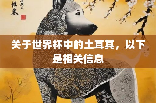 关于世界杯中的土耳其，以下是相关信息