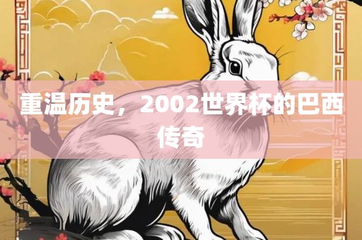 重温历史，2002世界杯的巴西传奇
