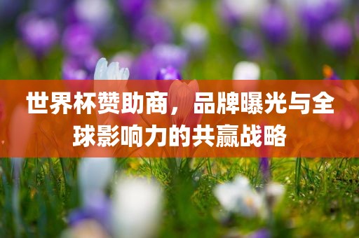 世界杯赞助商，品牌曝光与全球影响力的共赢战略