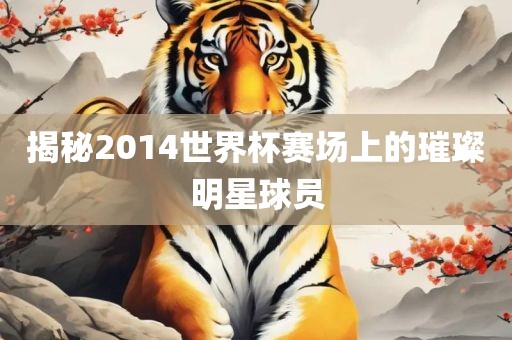 揭秘2014世界杯赛场上的璀璨明星球员