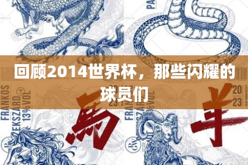 回顾2014世界杯，那些闪耀的球员们