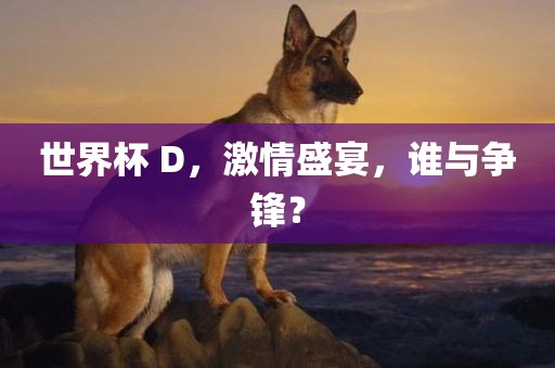 世界杯 D，激情盛宴，谁与争锋？