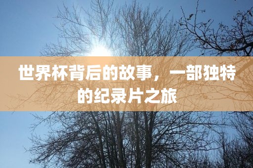 世界杯背后的故事，一部独特的纪录片之旅
