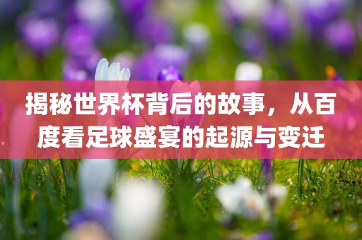 揭秘世界杯背后的故事，从百度看足球盛宴的起源与变迁