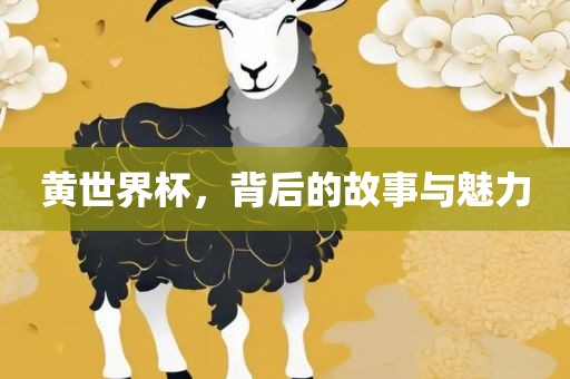 黄世界杯，背后的故事与魅力