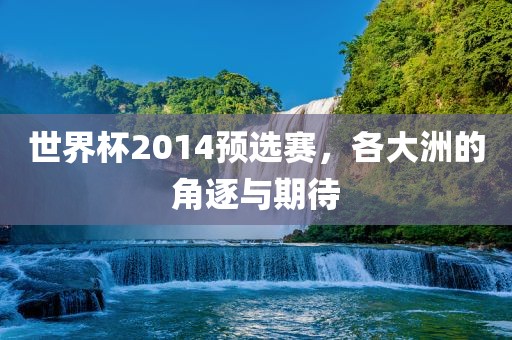 世界杯2014预选赛，各大洲的角逐与期待