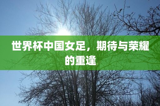 世界杯中国女足，期待与荣耀的重逢